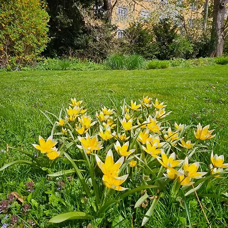 Apartman Red Flat By Grazrentals Family Friendly With Kids Bed & Free Parking Graz