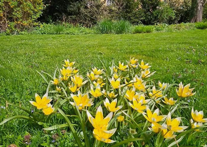 Apartman Red Flat By Grazrentals Family Friendly With Kids Bed & Free Parking Graz